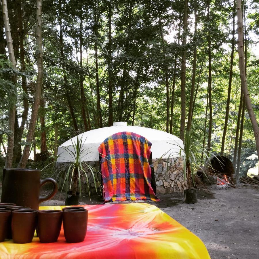 Cabanas Rucalhue Salto Del Laja Cabrero 외부 사진